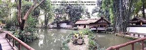 Chendgu 030